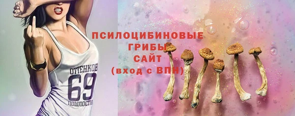 шишки Армянск