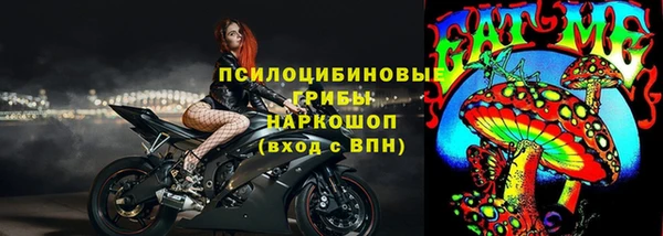шишки Армянск