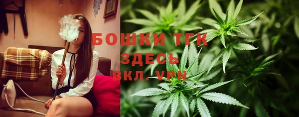 шишки Армянск